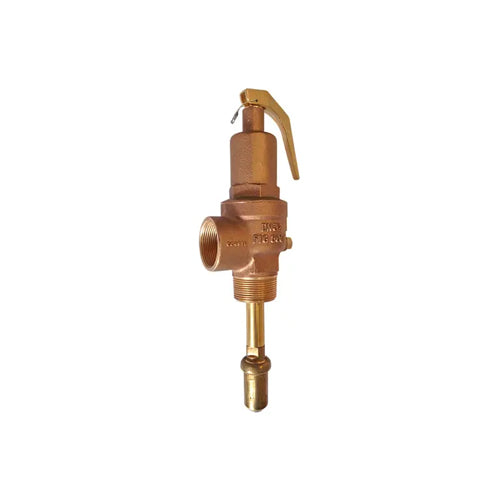 Andrews SUPAflo SF Temperature & Pressure Relief Valve - 10 Bar - DN50 - E426