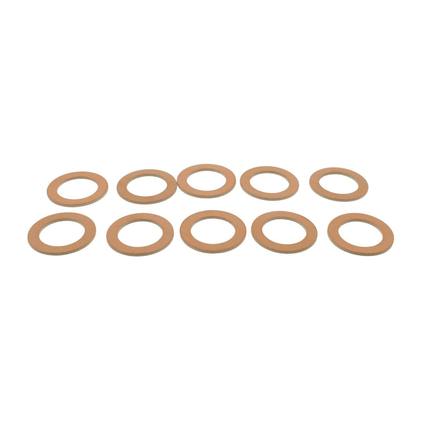 Glow-worm Gasket - Pack of 10 - 0020061612