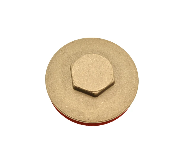 Tesla Immersion Heater Plug & Washer - 2 1/4" - IH214