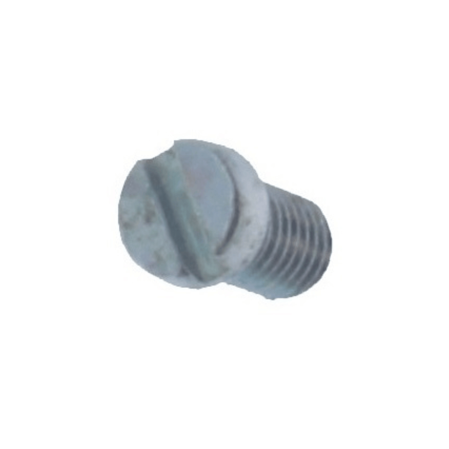 Vaillant Diaphragm Screw - 010003