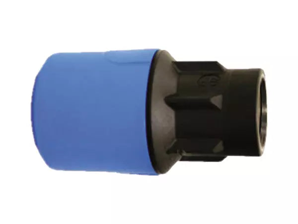 Speedfit Blue Female Adaptor - 25mm x 3/4" - UG4502B