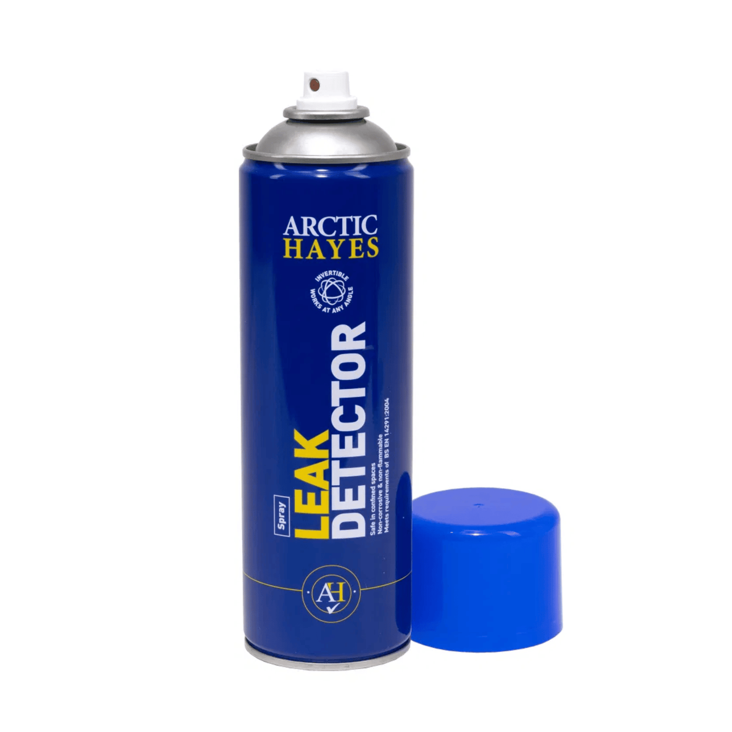 Arctic Hayes Leak Detection