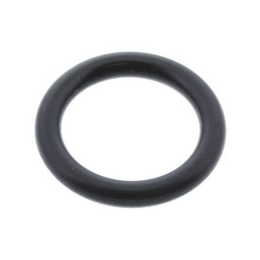 Biasi Detection/Ignition Electrode Gasket - BI1293109