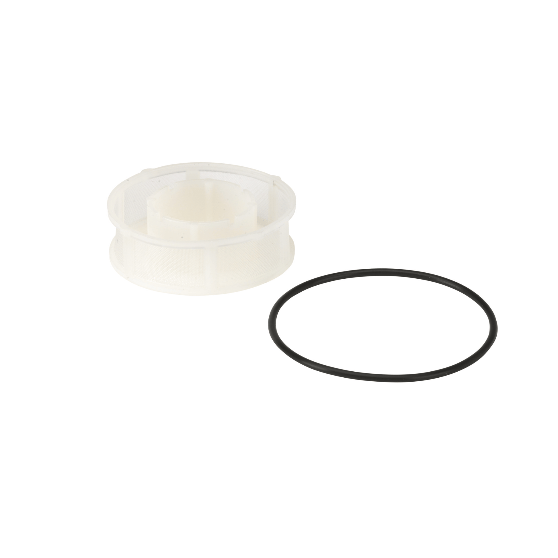 Danfoss BFP Ring Filter & O-Ring - 071N0063