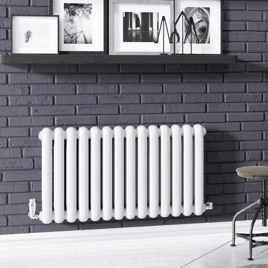 DQ Cassius Horizontal Radiator - 550mm x 1410mm - White (RAL 9016) - CASSIUS550/20-W