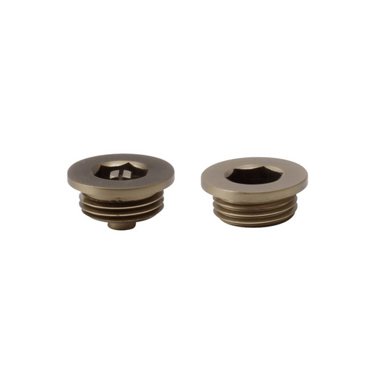 DQ Radiator Plug & Vent - Brushed Brass - VP-BB