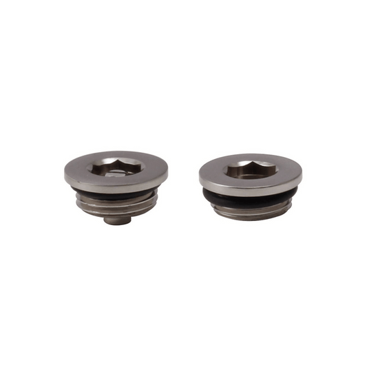 DQ Radiator Plug & Vent - Brushed Nickel - VP-BN