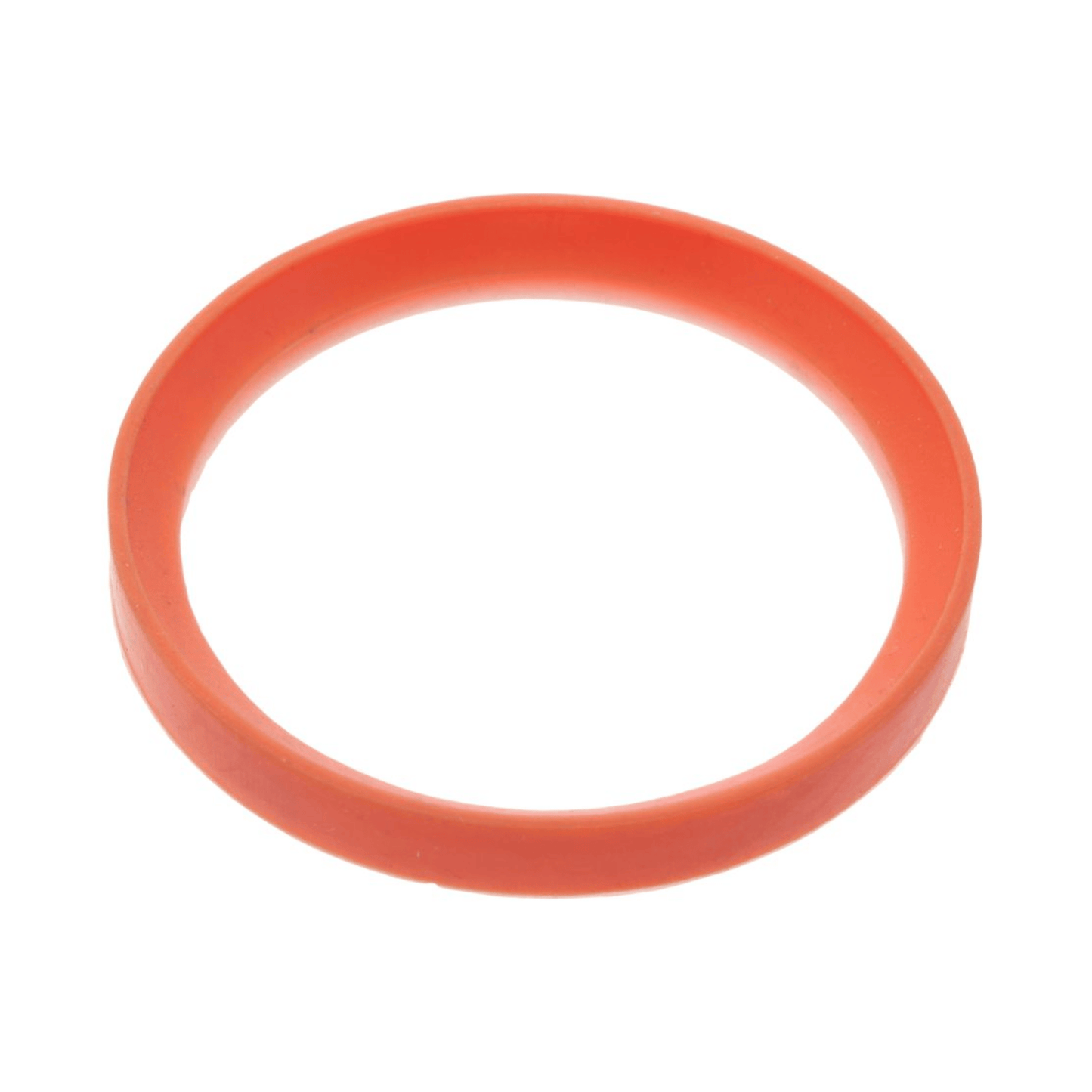 Glow-worm Gasket - 0020064057