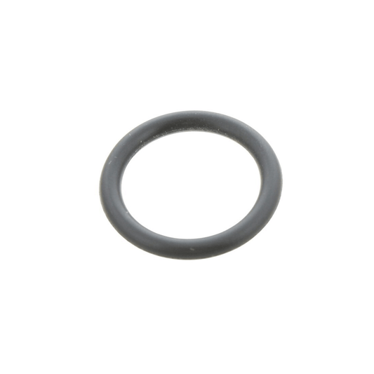 Glow-worm O-Ring - Pack of 10 - 0020125448