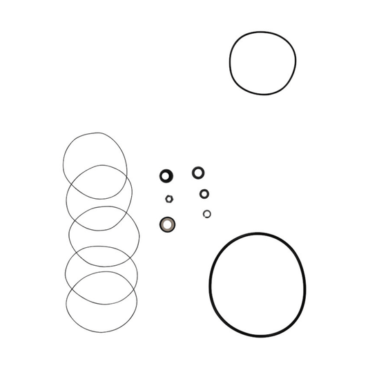 Grundfos Shaft Seal Kit - 96450696