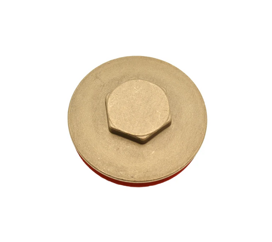 Tesla Immersion Heater Plug & Washer - 2 1/4" - IH214