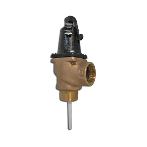 Reliance FVMX Pressure & Temperature Relief Valve - 7 Bar - 2" MBSP x FBSP - PTEM600005