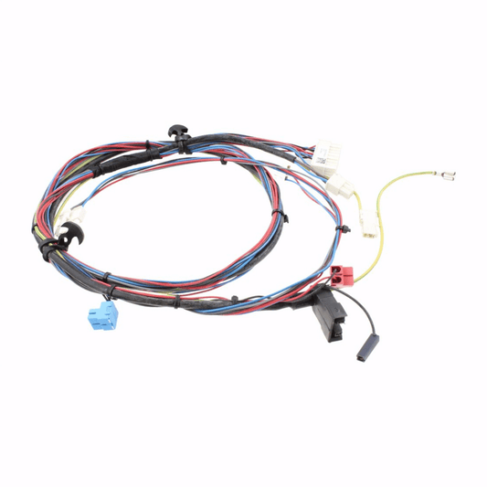 Saunier Duval Wiring Harness - 0020195584