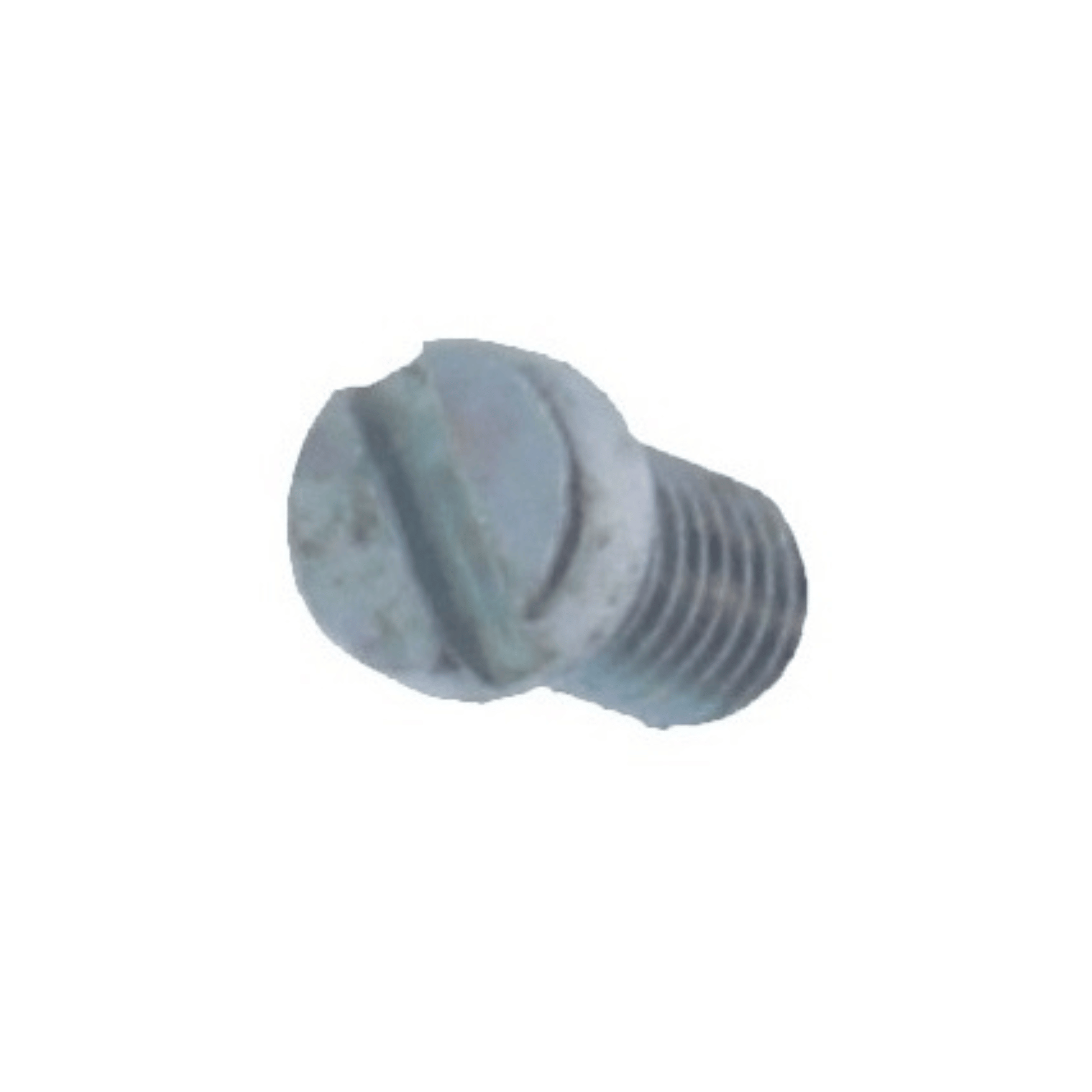 Vaillant Diaphragm Screw - 010003
